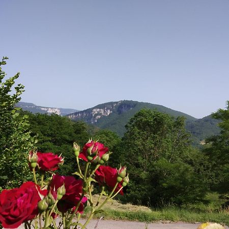 Au Chalet D'Anna Saint-Rambert-en-Bugey Exterior foto